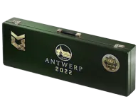 Antwerp 2022 Dust II Souvenir Package skin