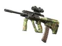 AUG | Commando Company (Well-Worn)