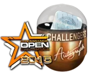 Autograph Capsule | Challengers (Foil) | Cluj-Napoca 2015