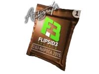 Autograph Capsule | Flipsid3 Tactics | Cluj-Napoca 2015 skin