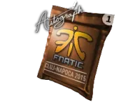 Autograph Capsule | Fnatic | Cluj-Napoca 2015 skin