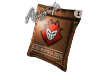 Autograph Capsule | G2 Esports | Cluj-Napoca 2015 skin