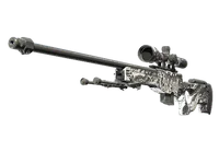 AWP | The End (Well-Worn)