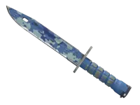 Bagnet (★) | Jasne wody (mocne zużycie) skin