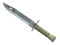 Bagnet (★) | Stal damasceńska (prosto z fabryki) skin