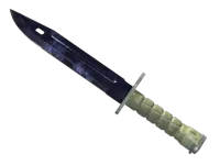 ★ Bayonet | Doppler (Factory New) skin
