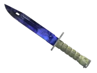 Bagnet (★) | Doppler (lekkie zużycie) skin