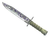 Bayoneta ★ | Mano alzada (Deplorable) skin