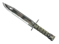 Bayoneta ★ | Chamuscado (Deplorable) skin