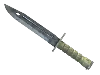★ Bayonet | Stained (Minimal Wear)