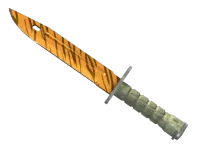 ★ Bayonet | Tiger Tooth (Minimal Wear) skin