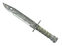 Bayonet ★ | Urban Masked (Gasto) skin