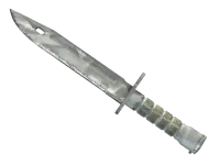 ★ Bayonet | Urban Masked (Field-Tested)