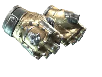 ★ Bloodhound Gloves | Bronzed (Minimal Wear)