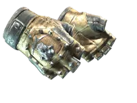 ★ Bloodhound Gloves | Bronzed (Well-Worn)