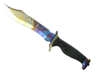 ★ Bowie Knife | Case Hardened (Well-Worn) skin