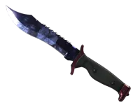 ★ Bowie Knife | Doppler (Factory New) skin