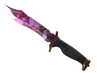 ★ Bowie Knife | Doppler Phase 2 (Factory New)