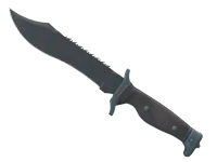 ★ Bowie Knife | Night (Minimal Wear)