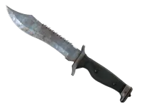 Nóż Bowie (★) | Warstwa rdzy (mocne zużycie) skin