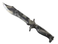 ★ Bowie Knife | Scorched (Field-Tested)