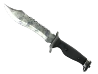 ★ Bowie Knife | Stained (Battle-Scarred)