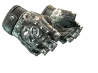 ★ Broken Fang Gloves | Unhinged (Minimal Wear)