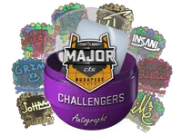 Budapest 2025 Challengers Autograph Capsule skin