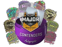 Budapest 2025 Contenders Autograph Capsule skin