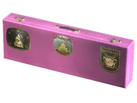 2025年布达佩斯锦标赛炼狱小镇纪念包 skin