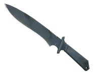 ★ Classic Knife | Night Stripe (Minimal Wear)