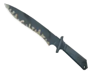 ★ Classic Knife | Night Stripe (Well-Worn) skin