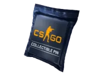 Collectible Pins Capsule Series 1 skin