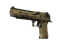 Desert Eagle | Mudder (Well-Worn)