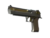 Desert Eagle | Pilot (mocne zużycie) skin