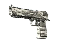 Desert Eagle | The Daily Deagle (Well-Worn) skin