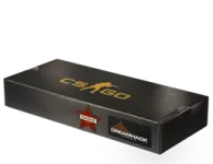 DreamHack 2014 Cache Souvenir Package skin