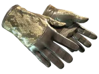★ Driver Gloves | Diamondback (Minimal Wear)