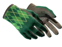 ★ Driver Gloves | Hand Sweaters (Minimal Wear)