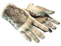 ★ Driver Gloves | King Snake (Well-Worn)