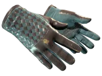 ★ Driver Gloves | Lunar Weave (Well-Worn)
