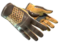 ★ Driver Gloves | Overtake (Minimal Wear)