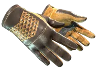 Rękawiczki samochodowe (★) | Wyprzedzanie (mocne zużycie) skin