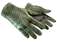 ★ Driver Gloves | Racing Green (Battle-Scarred)
