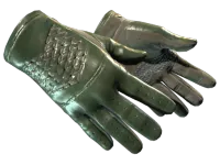 ★ Driver Gloves | Racing Green (Minimal Wear)