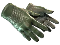 ★ Driver Gloves | Racing Green (Well-Worn)