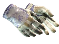 ★ Driver Gloves | Wave Chaser (Battle-Scarred) skin