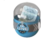 ESL One Cologne 2014 Challengers skin