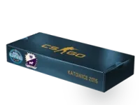 ESL One Katowice 2015 Cobblestone Souvenir Package