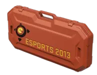 eSports 2013 Case